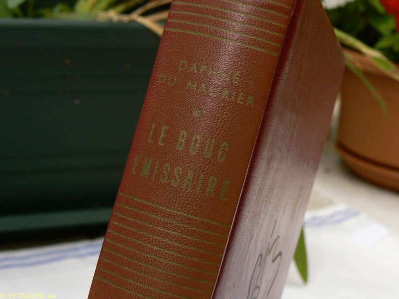P2040348 Daphné du Maurier Le bouc émissaire (dos décoloré).JPG