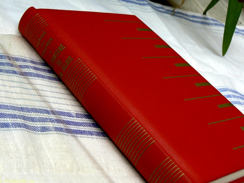 P2040359 Daphné du Maurier LA FORTUNE DE SIR JULIUS LÉVY.JPG