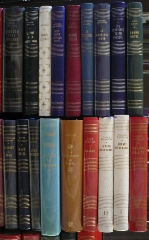 P3050019 livres2.jpg