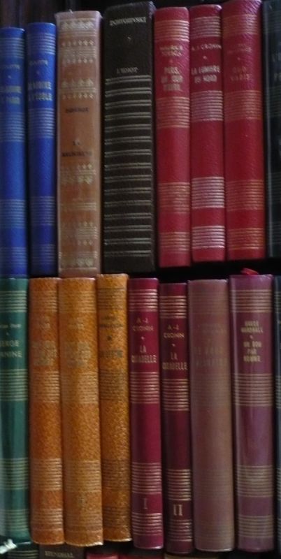 P3050020 livres1.jpg