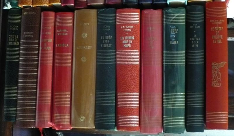 P3050022 livres3.jpg