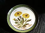 P3040745 assiette fleurs jaunes 17cm a susp 3e.jpg